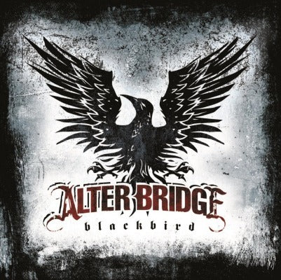 BLACKBIRD