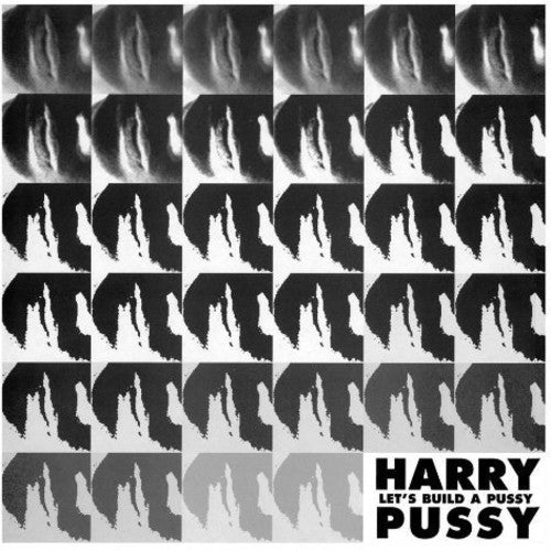 LET'S BUILD A PUSSY