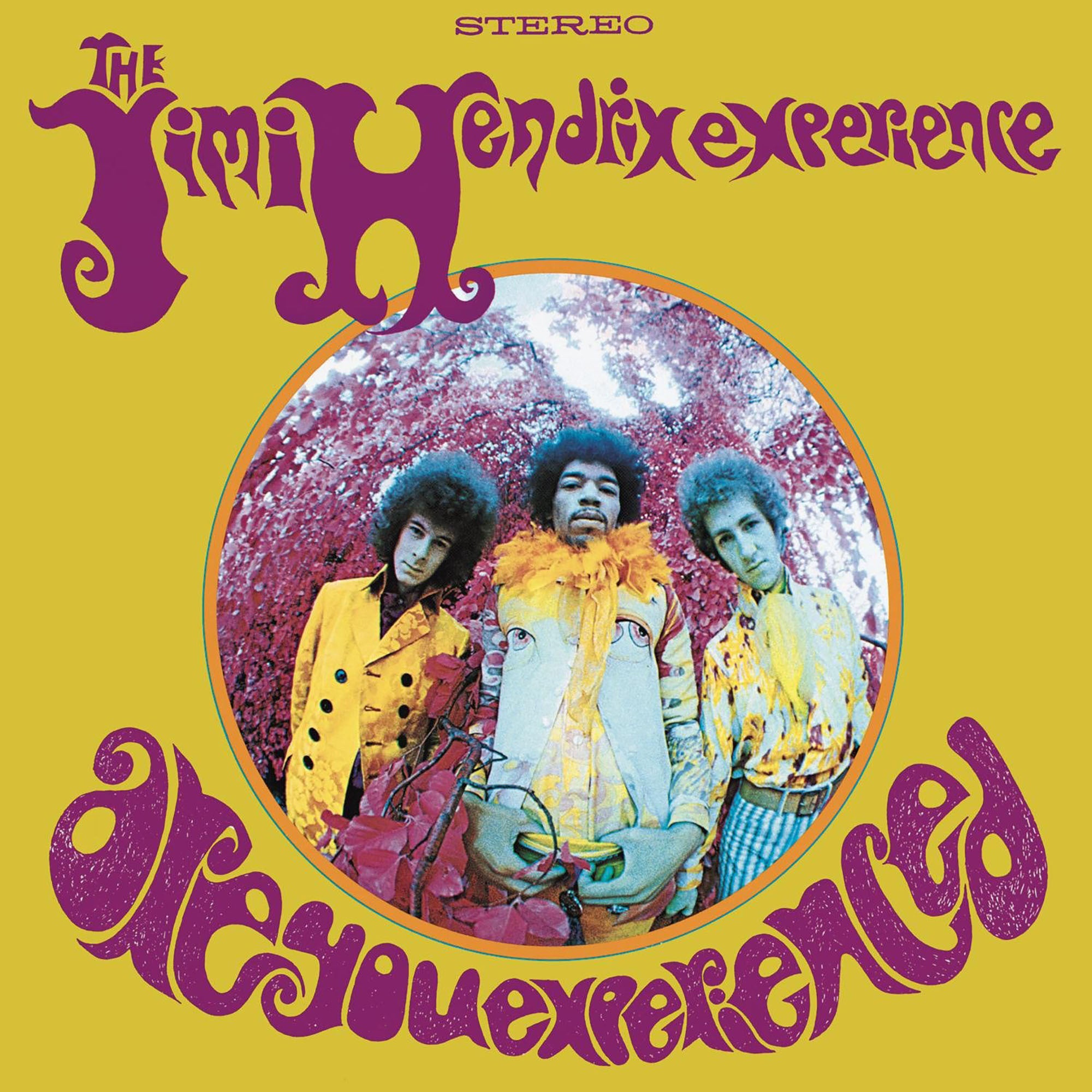 ARE YOU EXPERIENCED