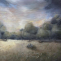 VIVID MEMORY