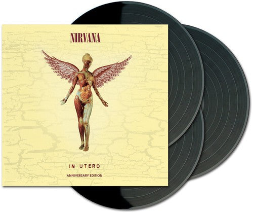 IN UTERO