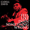Feel Like Doin Something Wrong