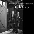 BACH TRIOS