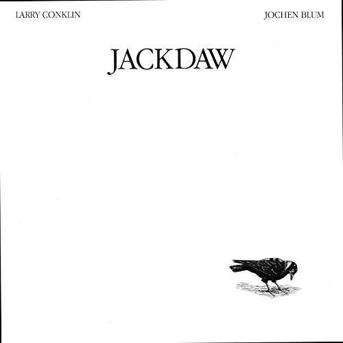 Jackdaw
