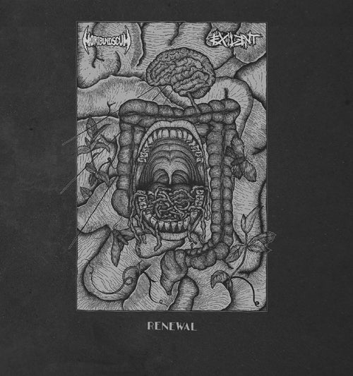 Renewal (split)