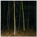 Fixed Rope Ii
