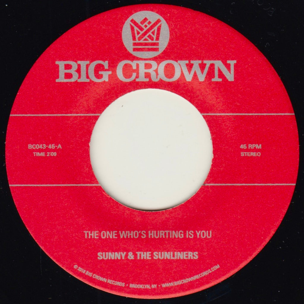 The One Who's Hurting You Is / Should I Take You Home