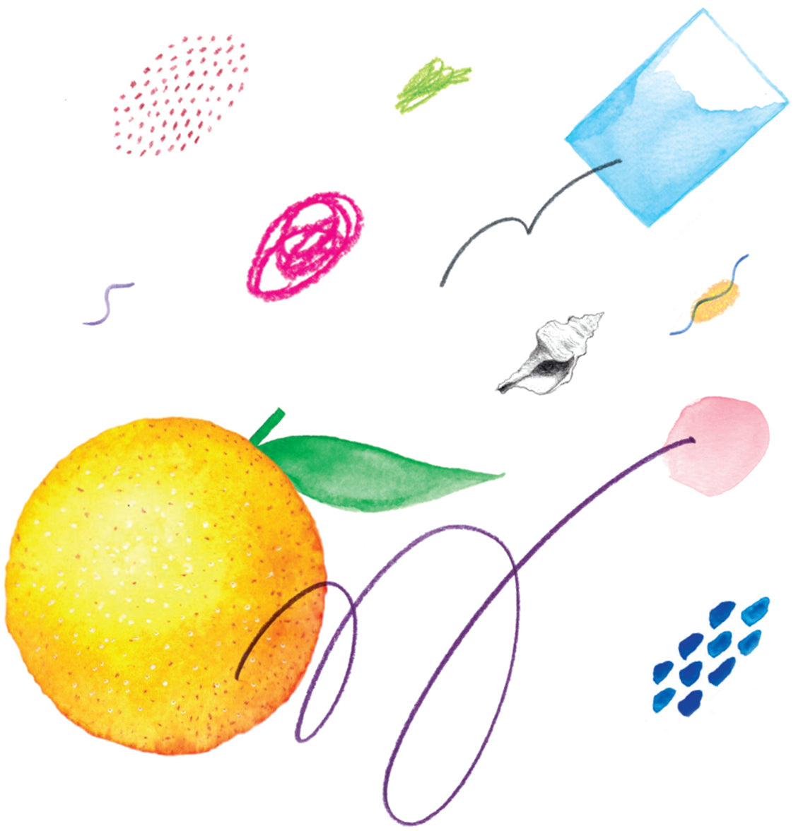 Oranges / Daniels