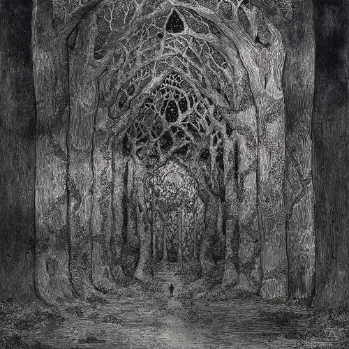 WITHIN THE DARKNESS BETWEEN THE STARLIGHT