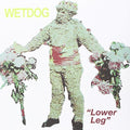 LOWER LEG