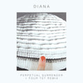 PERPETUAL SURRENDER/PERPETUAL SURRENDER (FOUR TET