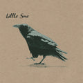 Crow (20th Anniversary Edition)