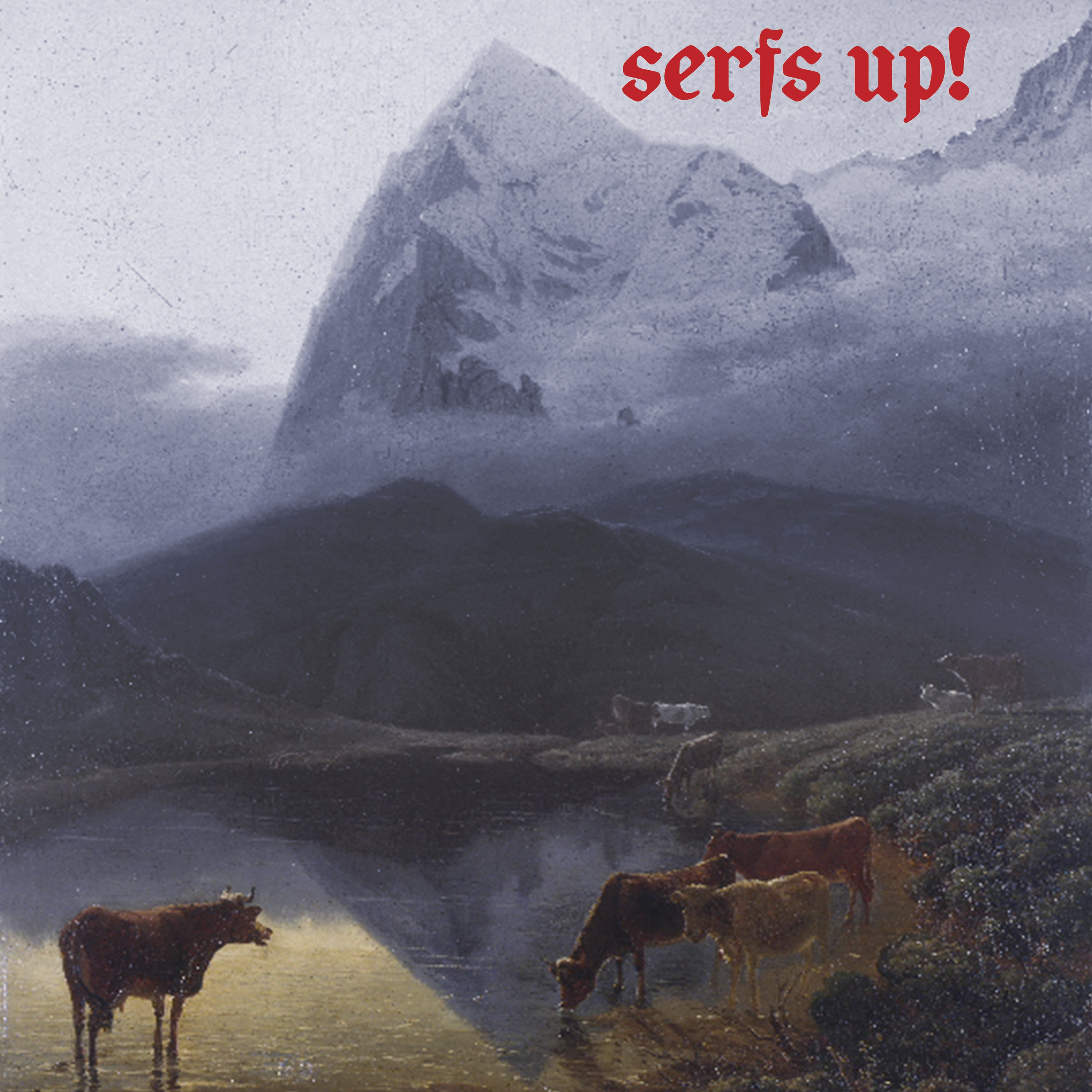 Serfs Up