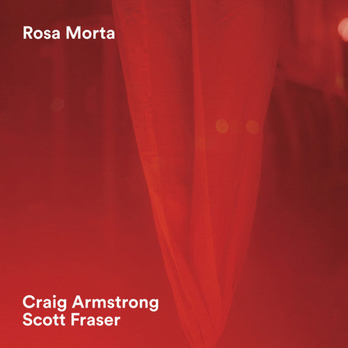ROSA MORTA