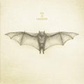 White Bat