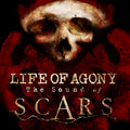 Sound Of Scars