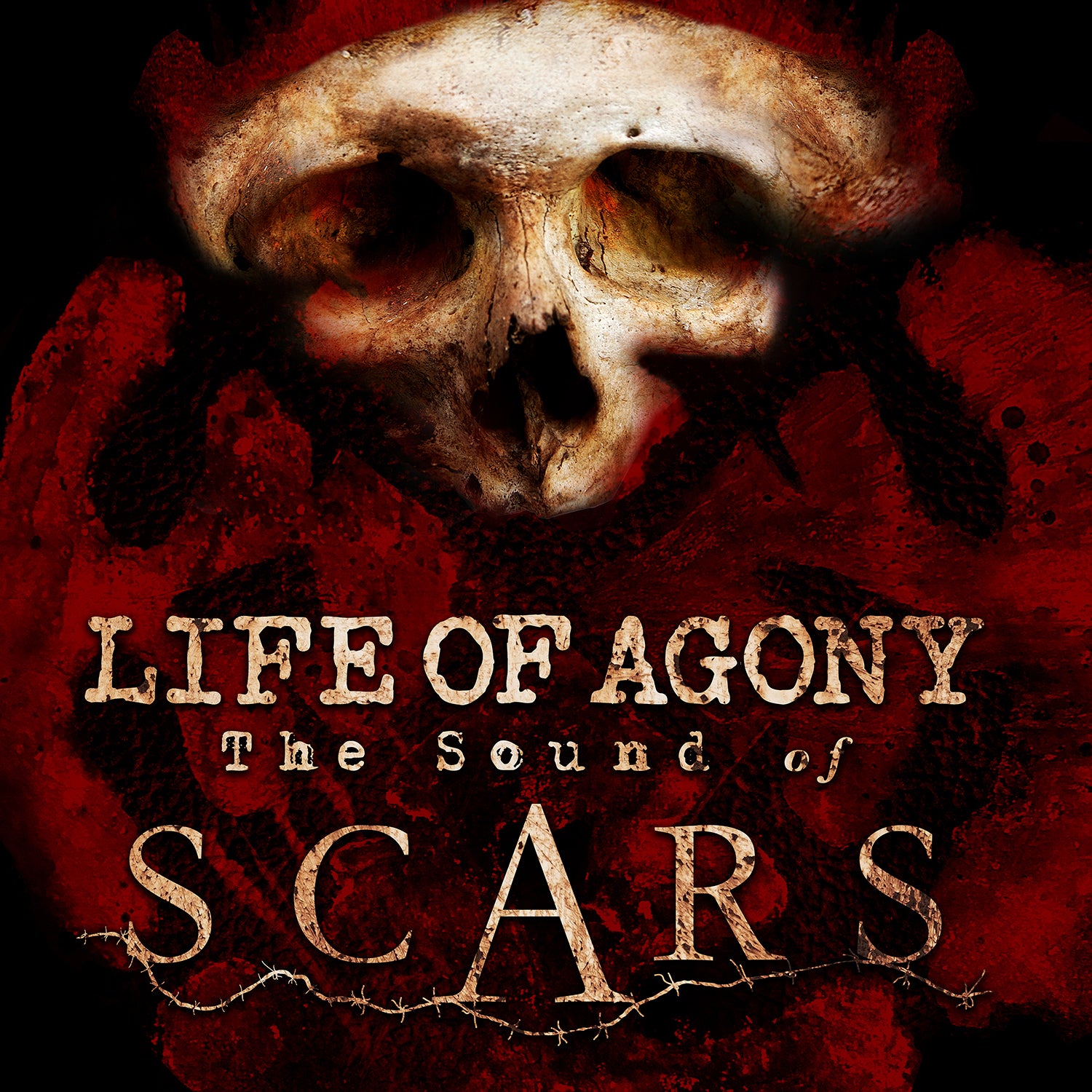 Sound Of Scars
