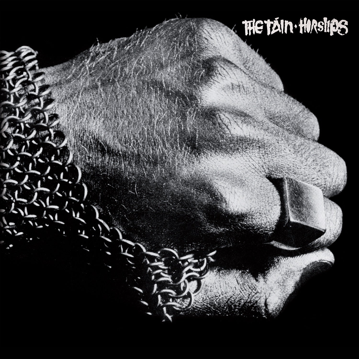 The Táin