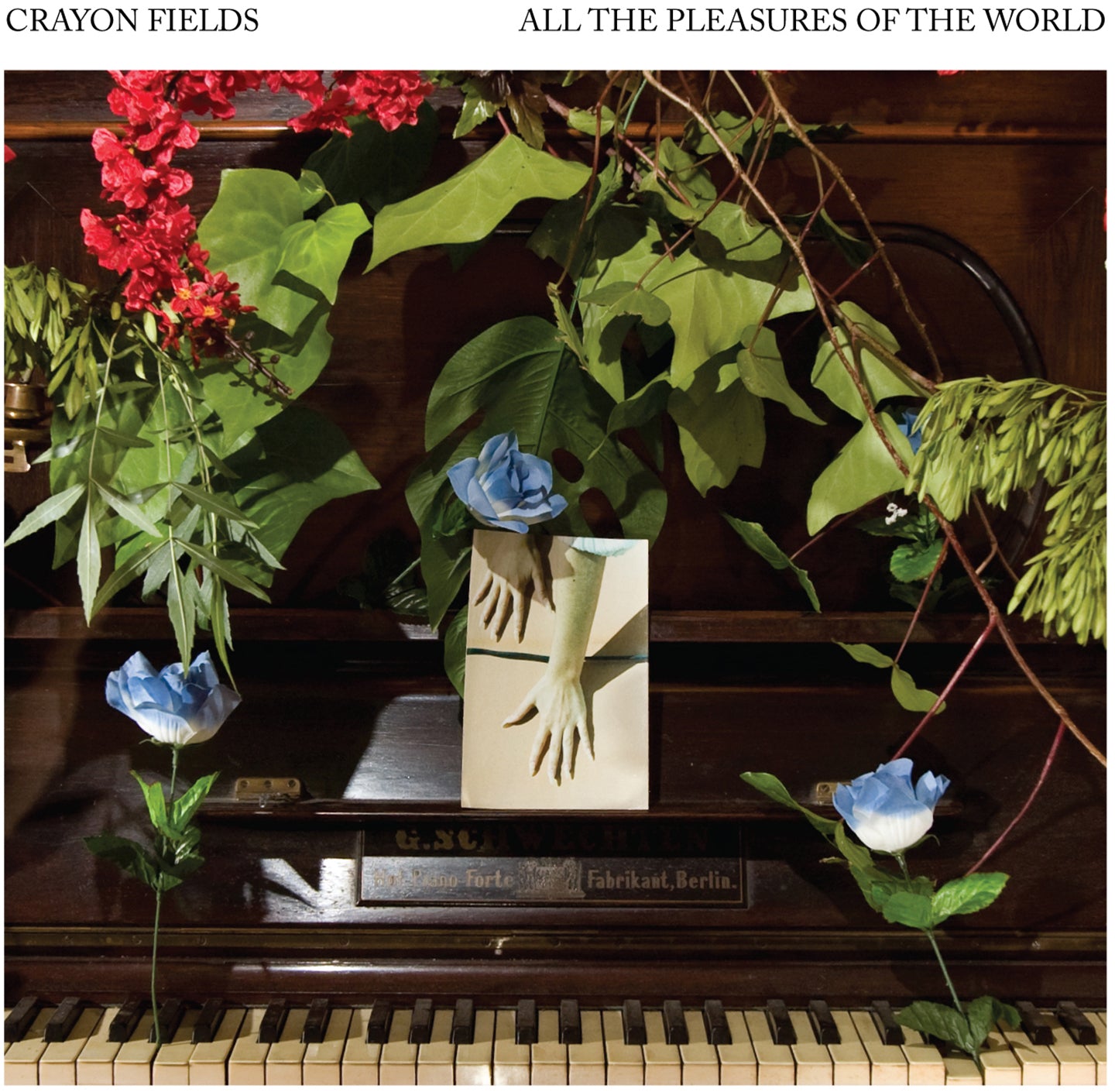 All the Pleasures Of the World (Deluxe Edition) (Color Vinyl)