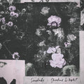 Shadows & Light / Sanctuary Dub