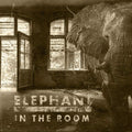 Elephant In The Room