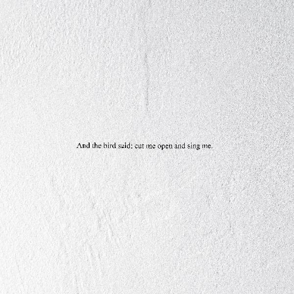 And the Bird Said: Cut Me Open and Sing Me