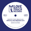 Sanctify feat. Brian Ellis