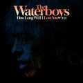 How Long Will I Love You (2021 Remix) (RSD)
