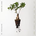 Let The Soil Play Its Simple Part