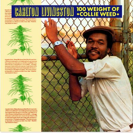 100 Weight Of Collie Weed