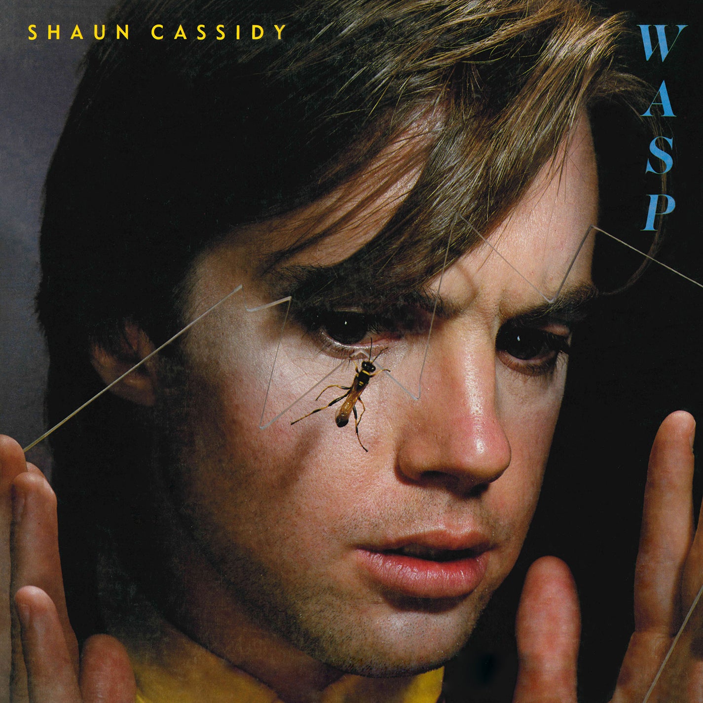 WASP