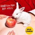 Good Kids Make Bad Apples (Translucent Red Vinyl)