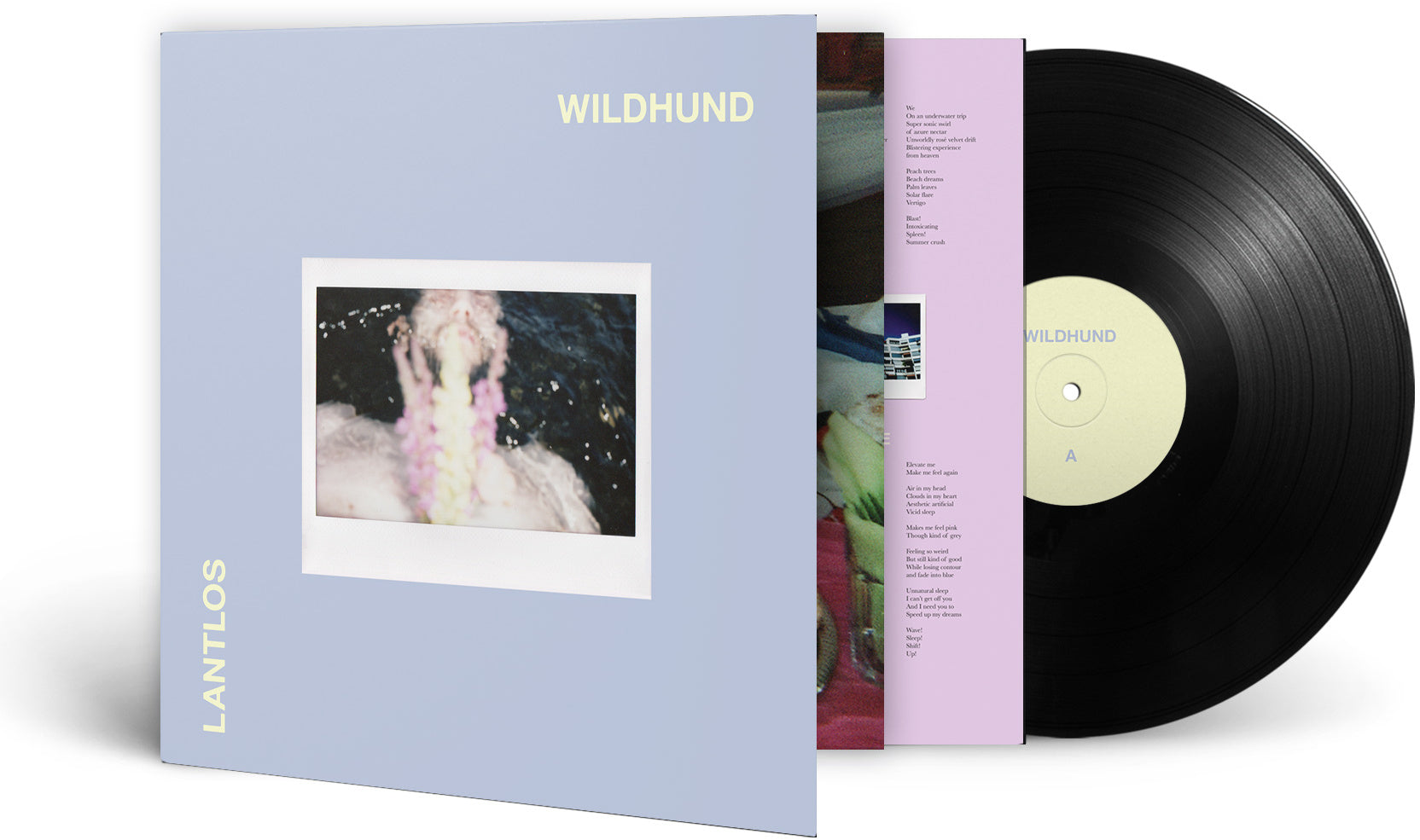 Wildhund