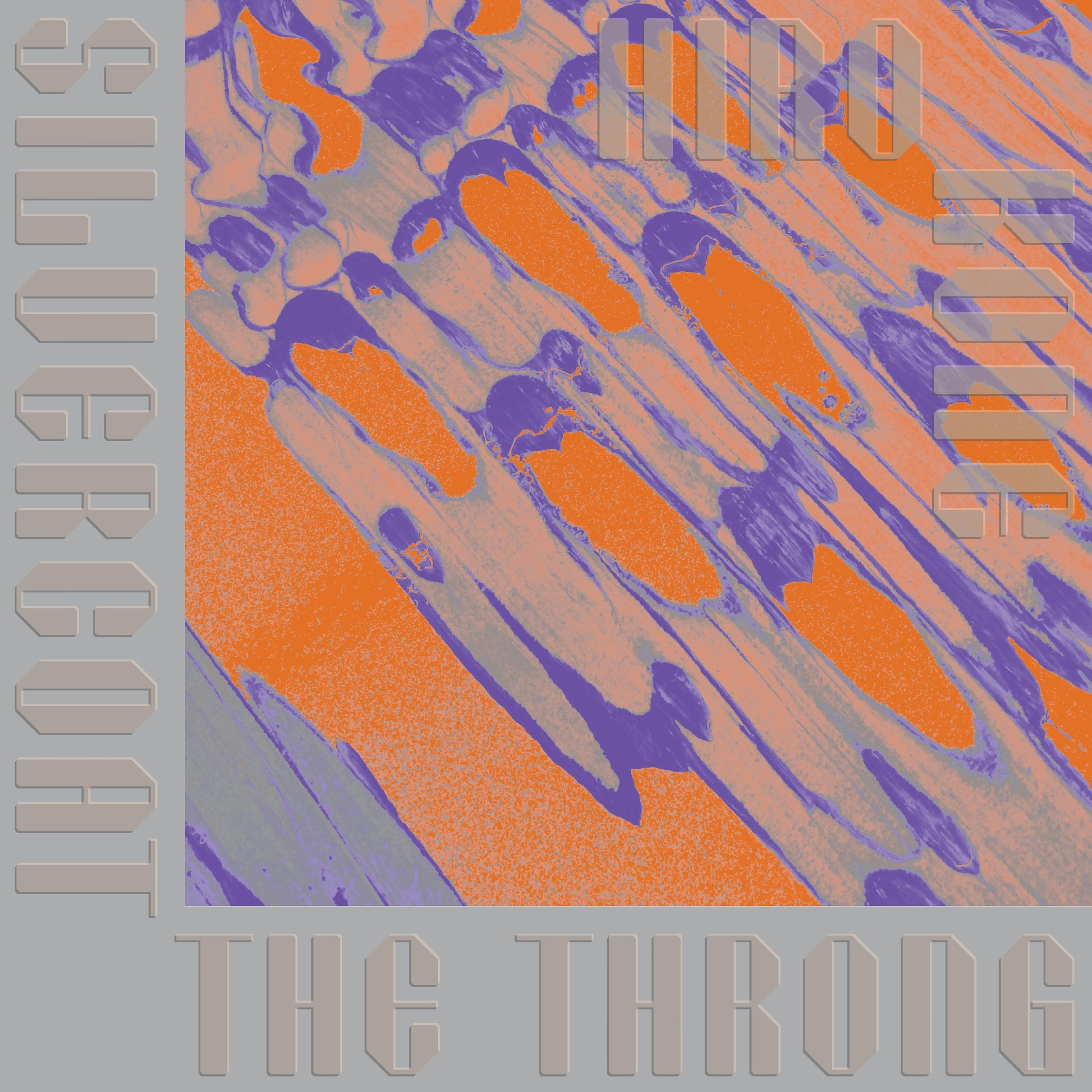 Silvercoat the throng