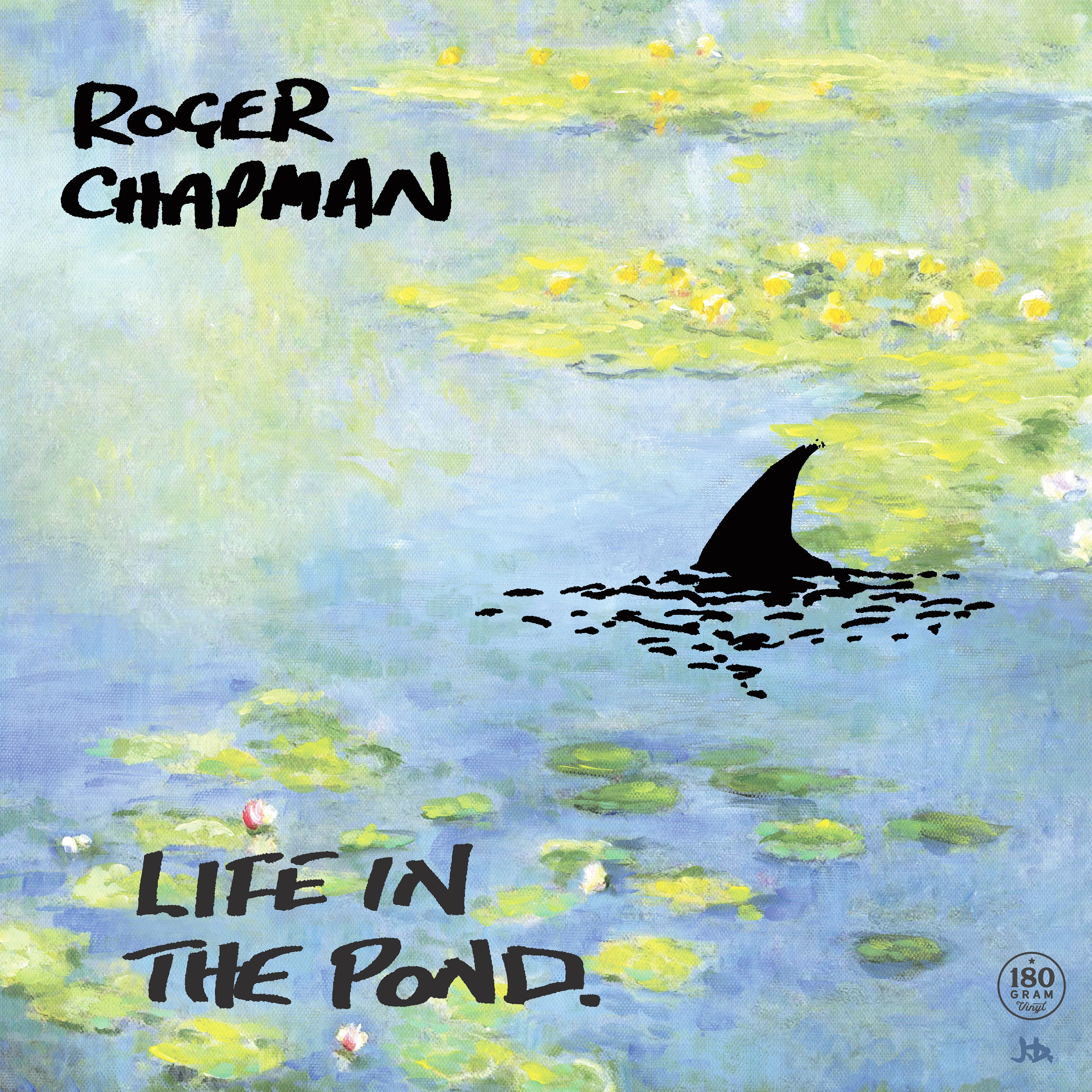 Life In The Pond