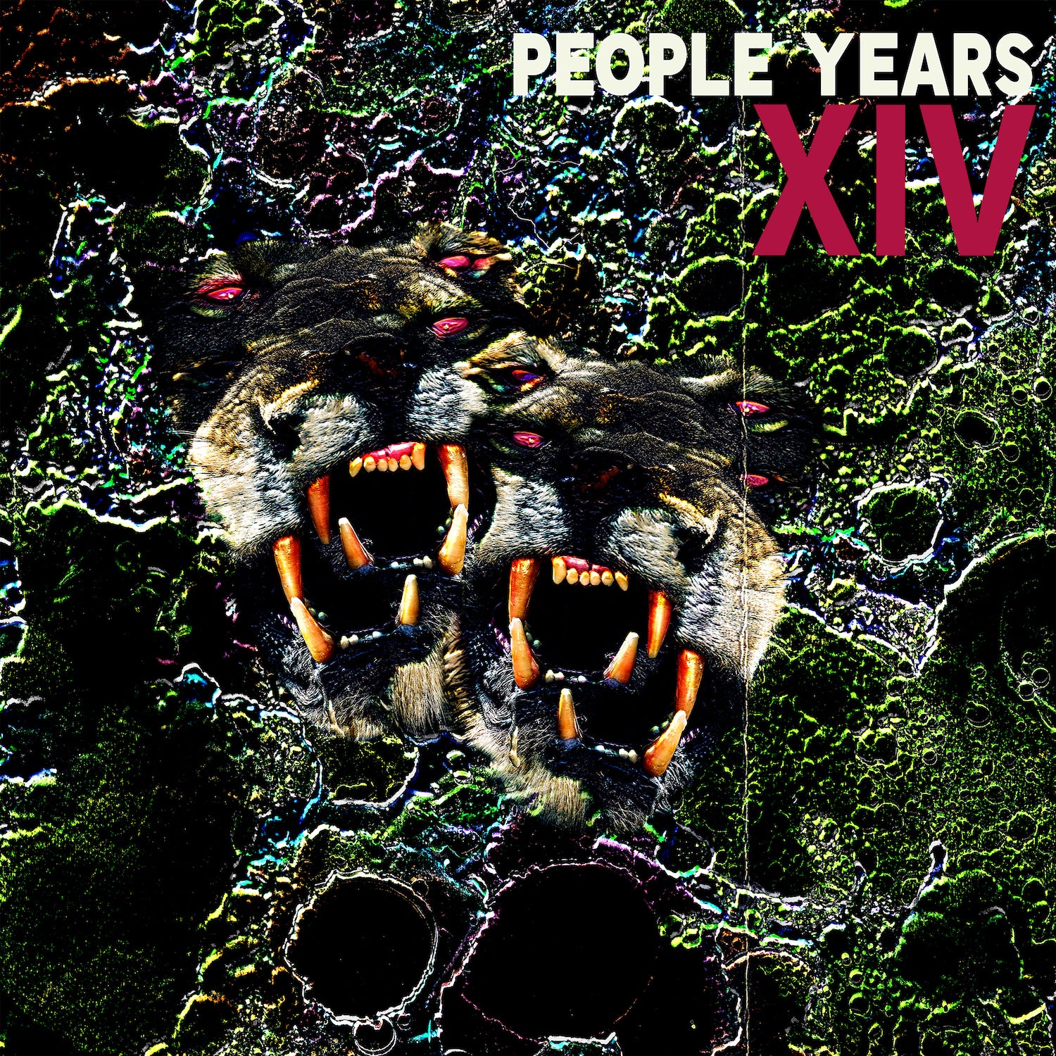 XIV