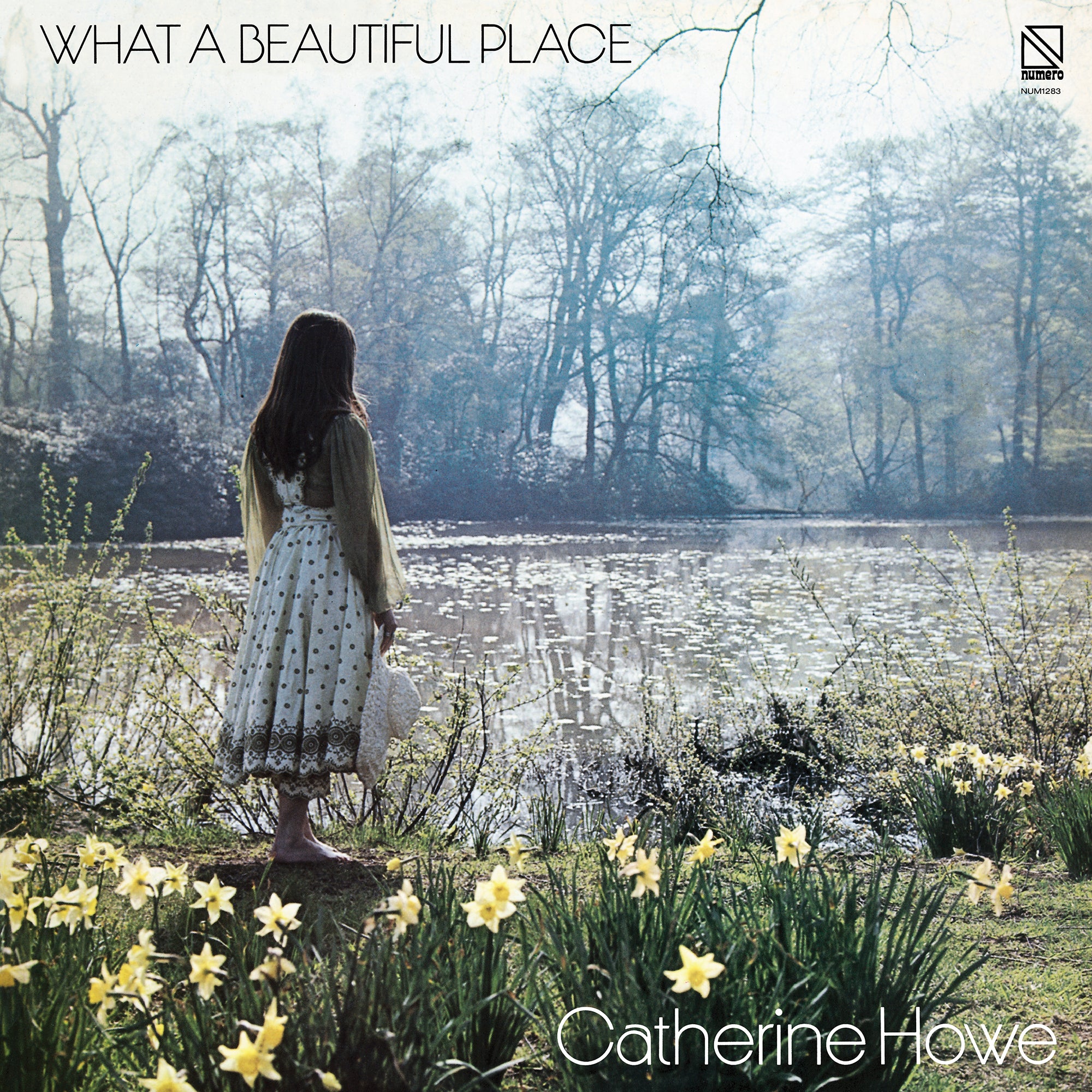 What a Beautiful Place (Yellow Vinyl)