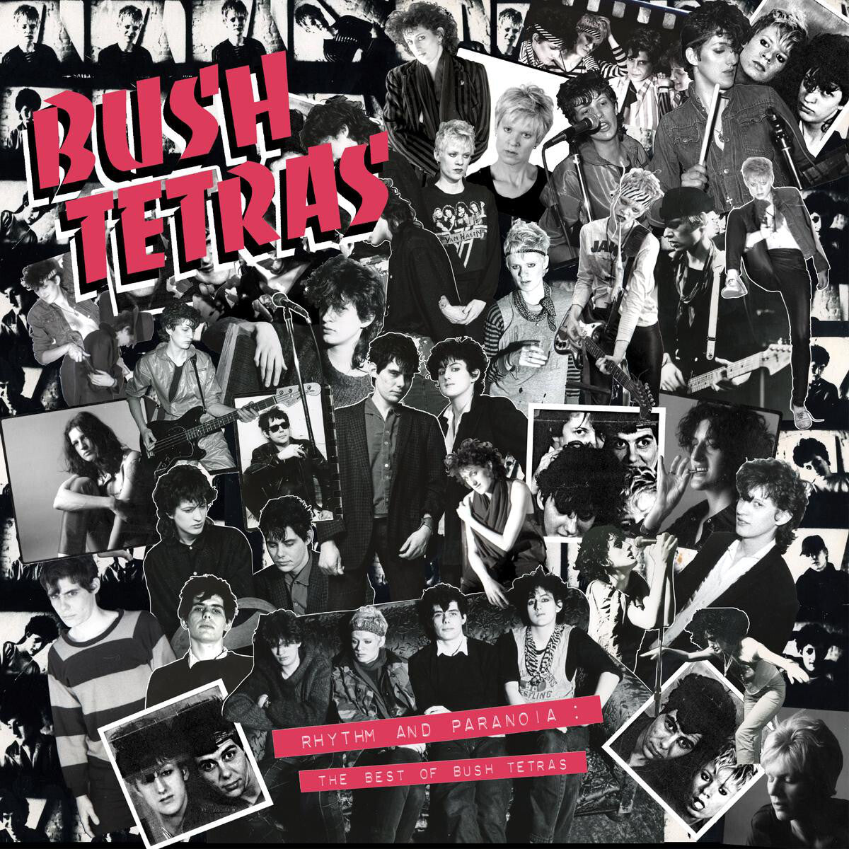Rhythm And Paranoia: The Best Of Bush Tetras