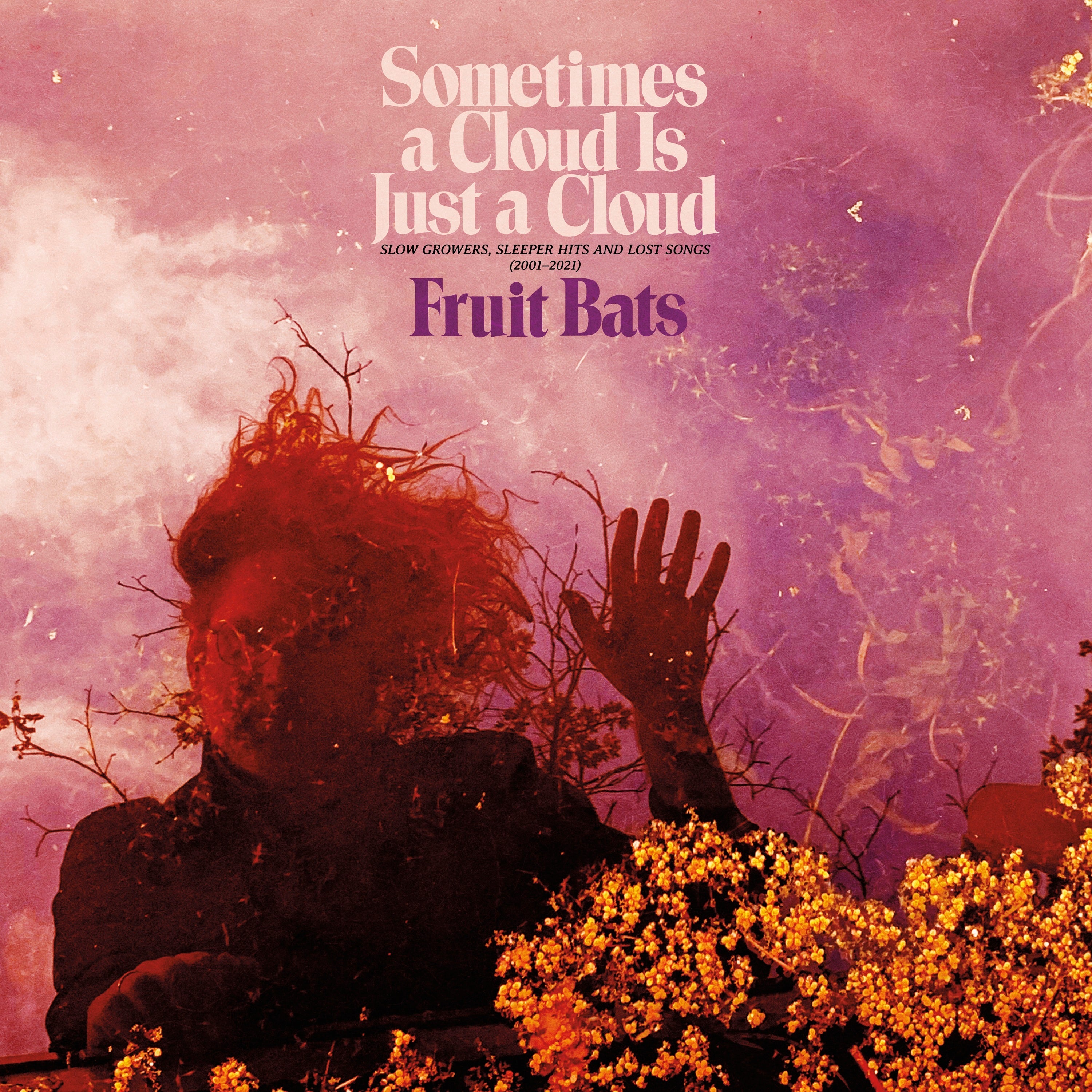 Sometimes a Cloud Is Just a Cloud: Slow Growers, Sleeper Hits and Lost