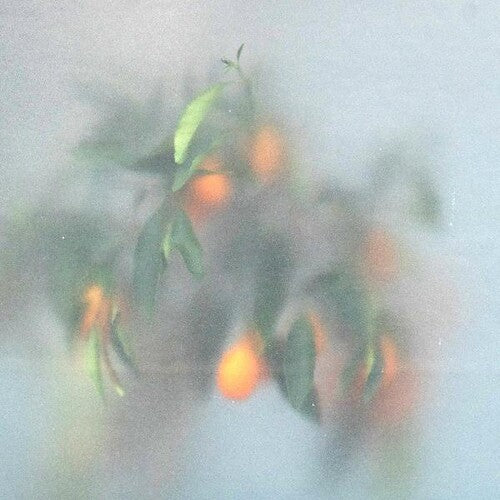 SECRET GARDEN