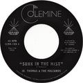 Sunk In The Mist