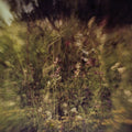 Wile B/w Remembered (purple)