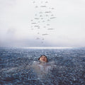 Wonder