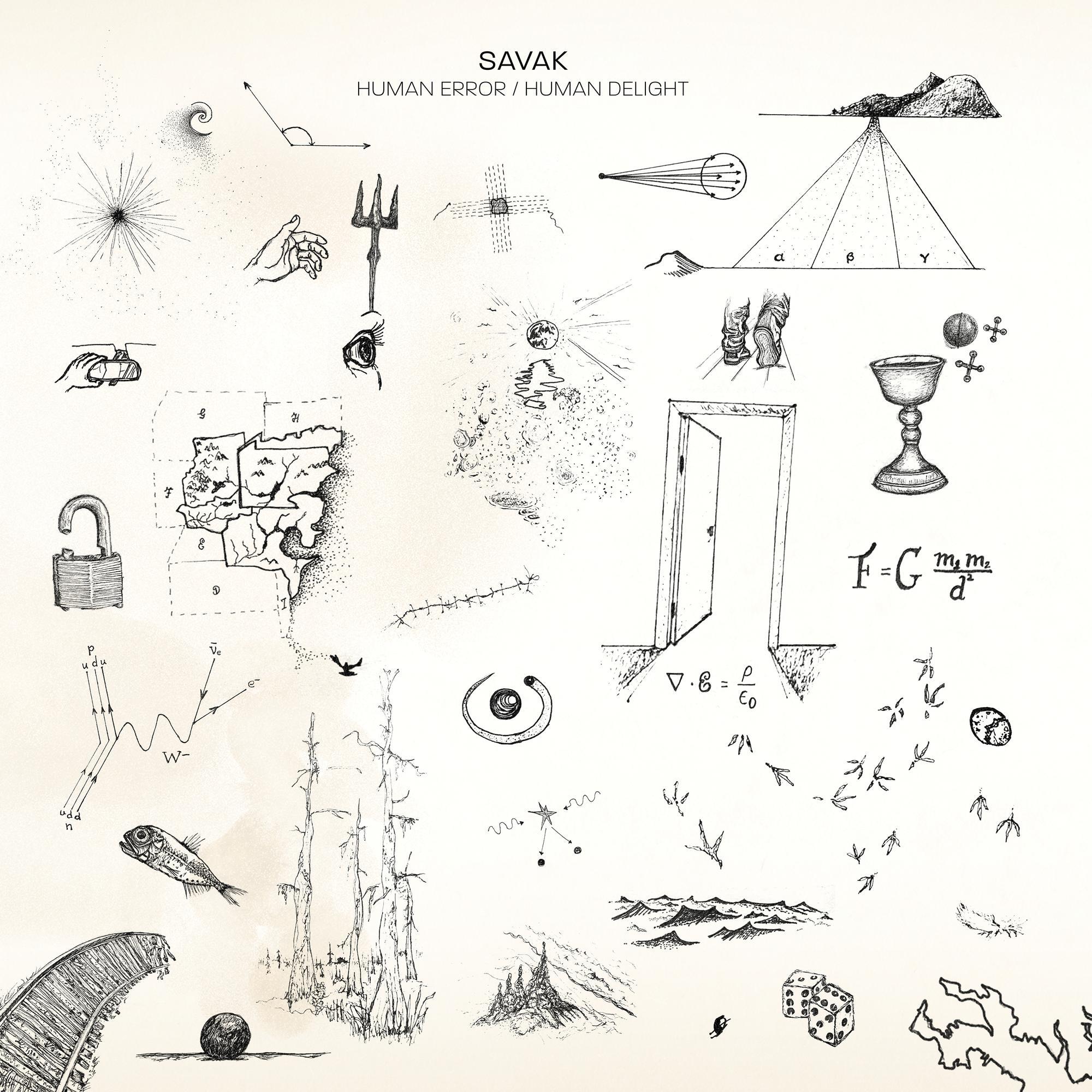 Human Error / Human Delight