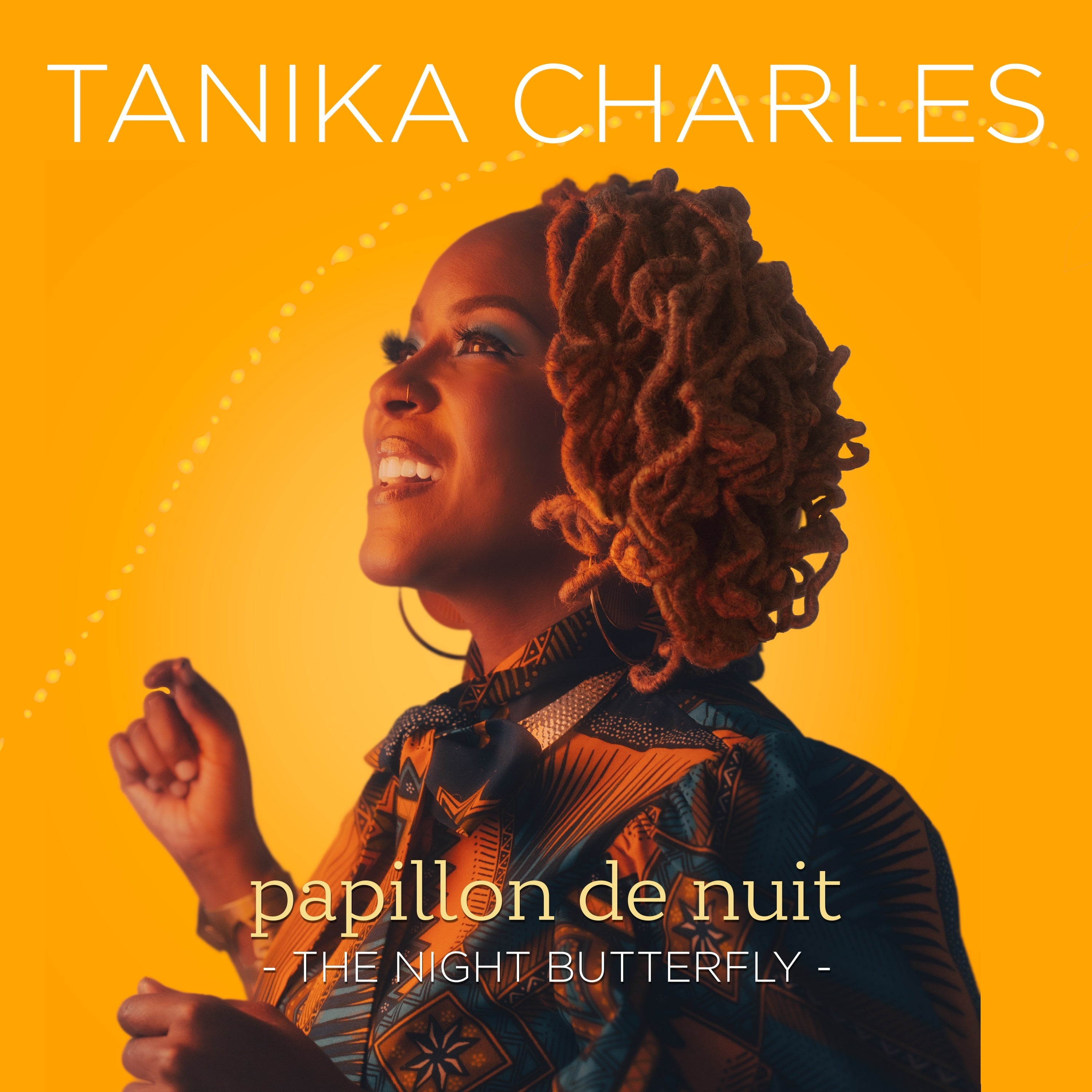Papillon De Nuit: The Night