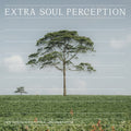 New Tangents in Kampala London & Nairobi (Various Artists)
