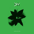 Exciter (The 12" Singles)