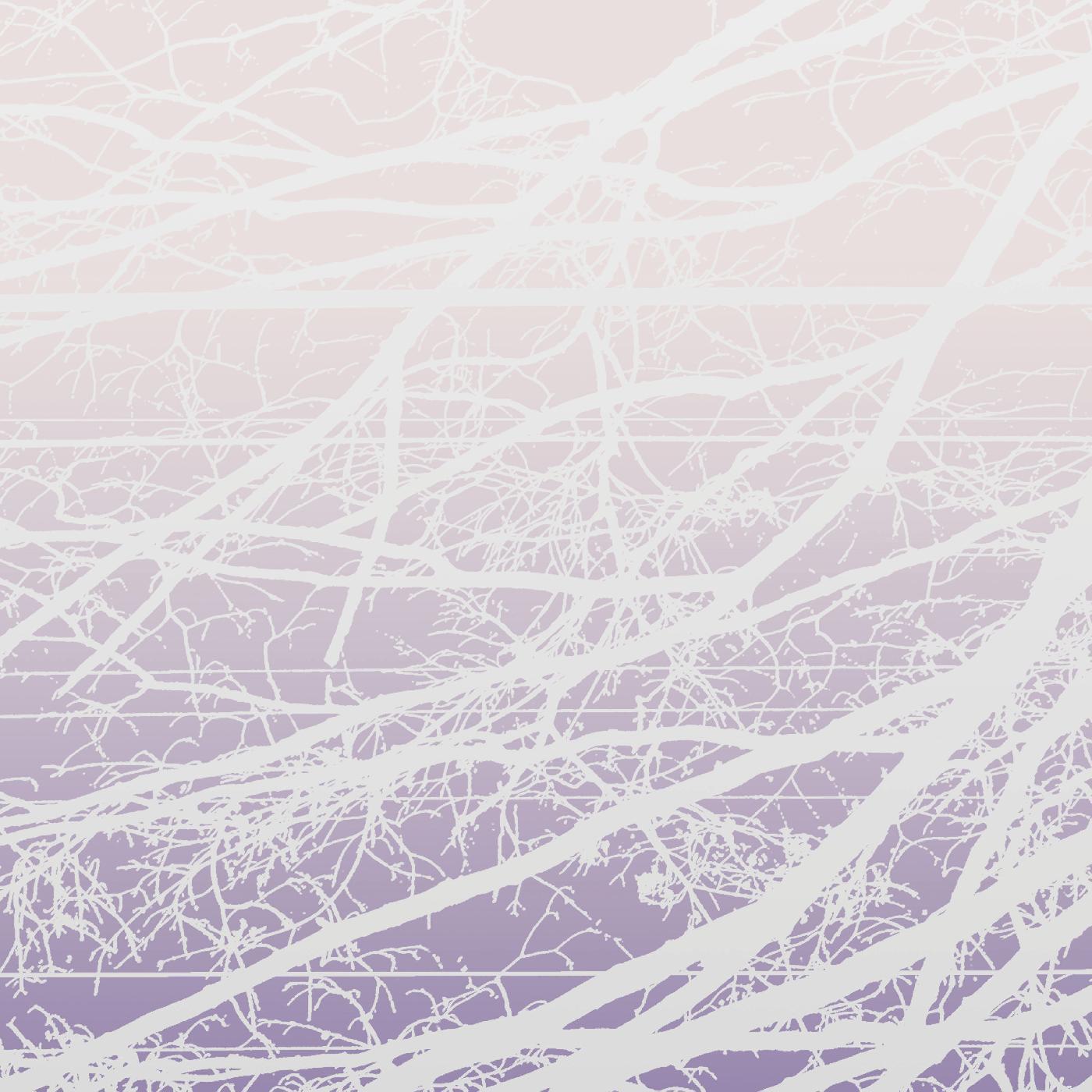 Metal Aether / Resonant Field