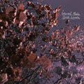 Internal Radio - Lavender