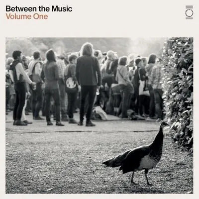 End Of The Road Presents: Between The Music / Various - White Colored Vinyl